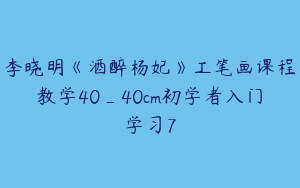 李晓明《酒醉杨妃》工笔画课程教学40_40cm初学者入门学习7
