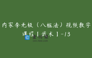 内家拳无极（八桩法）视频教学课程【武术】-13