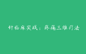 炁针临床实战：疼痛三维疗法