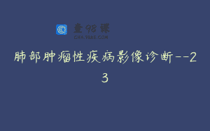 肺部肿瘤性疾病影像诊断–23