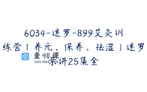 6034-迷罗-899艾灸训练营「养元、保养、祛湿」迷罗亲讲25集全