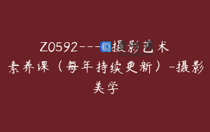 Z0592---[]摄影艺术素养课（每年持续更新）-摄影美学