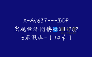 X-A4637---IBDP宏观经济衔接班(HL)2025寒假班-【14节】