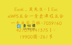 Excel_皮先生-【ExcelWPS五合一全套课程五合一专业学习班-7039160421076441375】-19900圆-261节