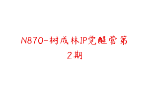 N870-树成林IP觉醒营第2期
