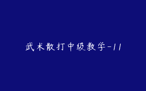 武术散打中级教学-11