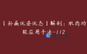 【孙晶优姿优态】解剖：肌肉功能应用手法-112