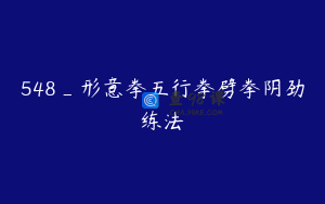 548_形意拳五行拳劈拳阴劲练法