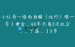 小红书—悟而后醒（纽约）唯一号【黄金_40年只有2次机会__下篇_】5节