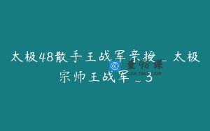 太极48散手王战军亲授_太极宗师王战军_3