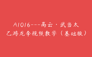 A1016—高云·武当太乙游龙拳视频教学（基础版）