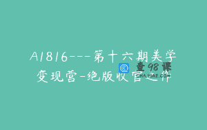 A1816—第十六期美学变现营-绝版收官之作