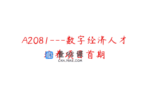 A2081—数字经济人才培养项目首期