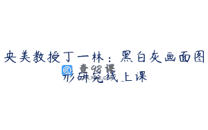 央美教授丁一林：黑白灰画面图形研究线上课