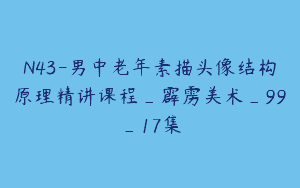 N43-男中老年素描头像结构原理精讲课程_霹雳美术_99_17集