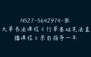 N527-5642974-张大草书法课程《行草基础笔法直播课程》亲自指导一年