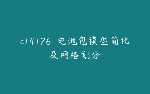 c14126-电池包模型简化及网格划分