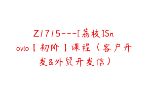 Z1715—[荔枝]Snovio【初阶】课程（客户开发&外贸开发信）
