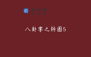 八卦掌之转圈5
