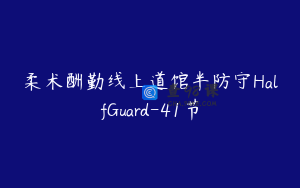柔术酬勤线上道馆半防守HalfGuard-41节