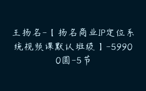 王扬名-【扬名商业IP定位系统视频课默认班级】-59900圆-5节