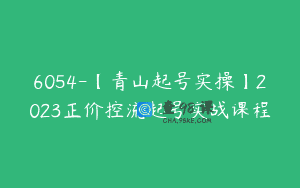 6054-【青山起号实操】2023正价控流起号实战课程