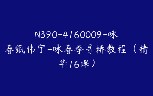 N390-4160009-咏春甄伟宁-咏春拳寻桥教程（精华16课）