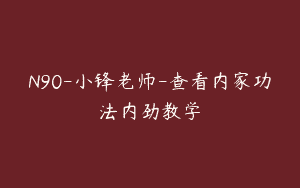N90-小锋老师-查看内家功法内劲教学