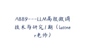 A889---LLM高效微调技术与研究1期（lattner老师）