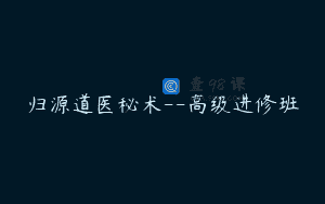 归源道医秘术–高级进修班