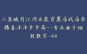 二泉映月江河水良宵赛马战马奔腾喜洋洋步步高–专业曲子细致教学-44