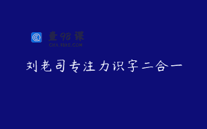 刘老司专注力识字二合一