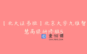 【北大证书班】北京大学九维智慧高级研修班5
