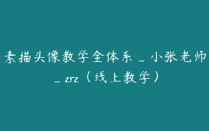 素描头像教学全体系_小张老师_zrz（线上教学）