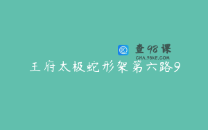 王府太极蛇形架第六路9