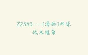 Z2343---[海豚]网球战术框架