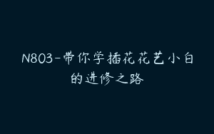 N803-带你学插花花艺小白的进修之路
