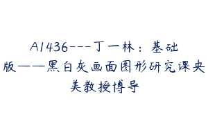 A1436—丁一林：基础版——黑白灰画面图形研究课央美教授博导