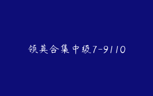 领英合集中级7-9110