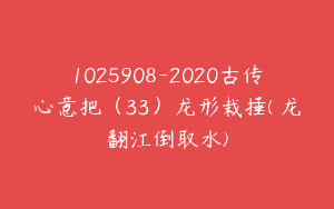 1025908-2020古传心意把（33）龙形栽捶(烏龙翻江倒取水)