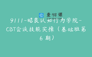 9111-昭良认知行为学院-CBT会谈技能实操（基础班第６期）