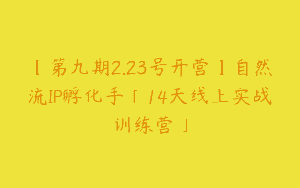【第九期2.23号开营】自然流IP孵化手「14天线上实战训练营」