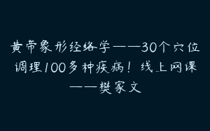 黄帝象形经络学——30个穴位调理100多种疾病！线上网课——樊家文