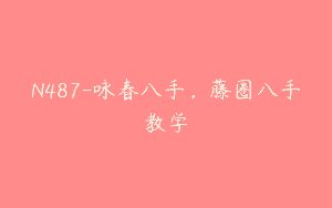 N487-咏春八手，藤圈八手教学