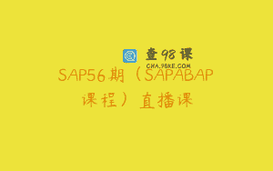 SAP56期（SAPABAP课程）直播课