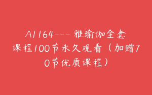 A1164—蘭雅瑜伽全套课程100节永久观看（加赠70节优质课程）