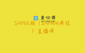 SAP55期（SAPMM课程）直播课