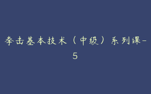 拳击基本技术（中级）系列课-5