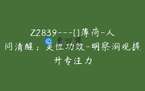 Z2839---[]薄荷-人间清醒；灵性功效-明察洞观提升专注力