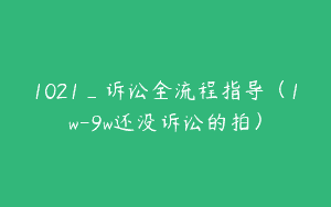 1021_诉讼全流程指导（1w-9w还没诉讼的拍）